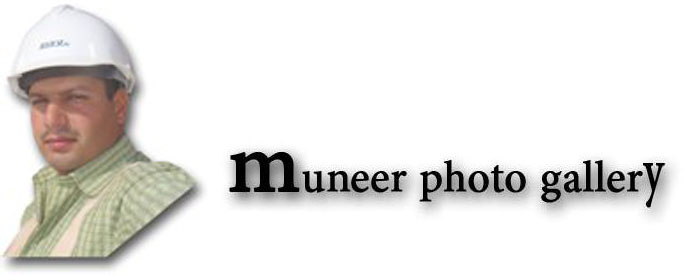 muneergallery.jpg